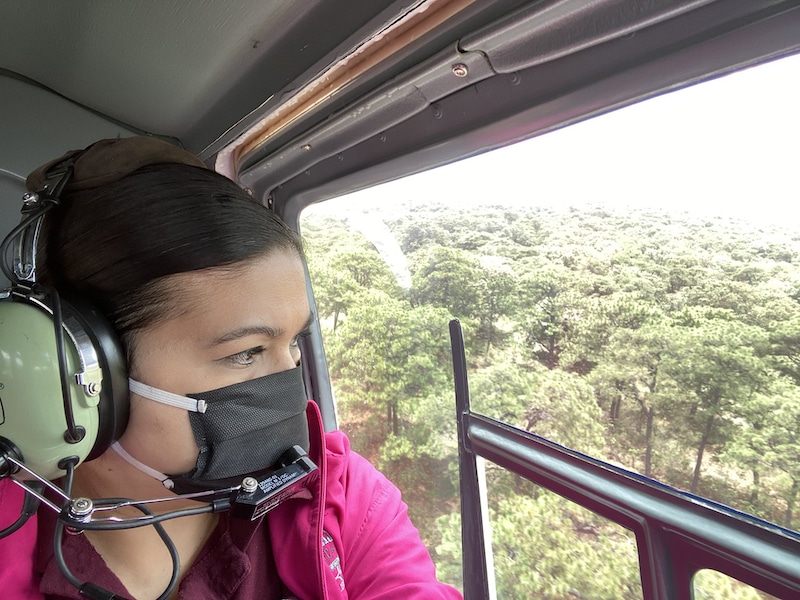 Foto: Diana Padilla, Procuradora Ambiental del Jalisco.