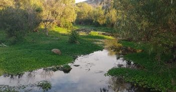 Canal de Atequiza, parte del sistema que abastece a Guadalajara, bajo la atención por reportes de contaminación