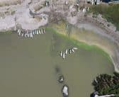 CUChapala reúne a especialistas para analizar los retos del agua y la recuperación del lago