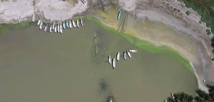 CUChapala reúne a especialistas para analizar los retos del agua y la recuperación del lago