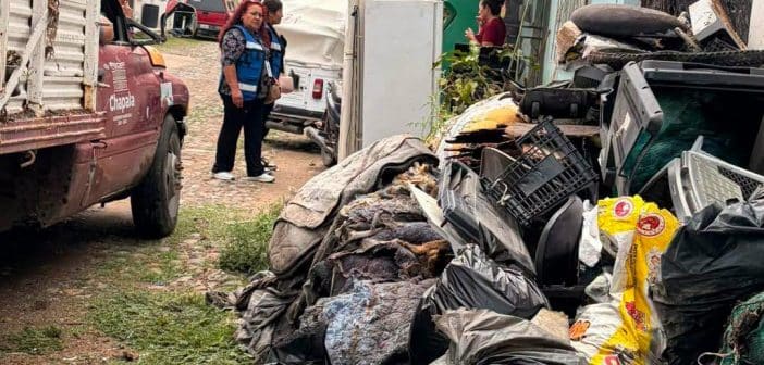 Gobierno de Chapala retira cinco toneladas de cacharros durante jornada contra posibles criaderos de dengue en Atotonilquillo