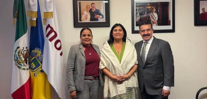 Acuerdan fortalecer trabajo territorial de Morena en Chapala